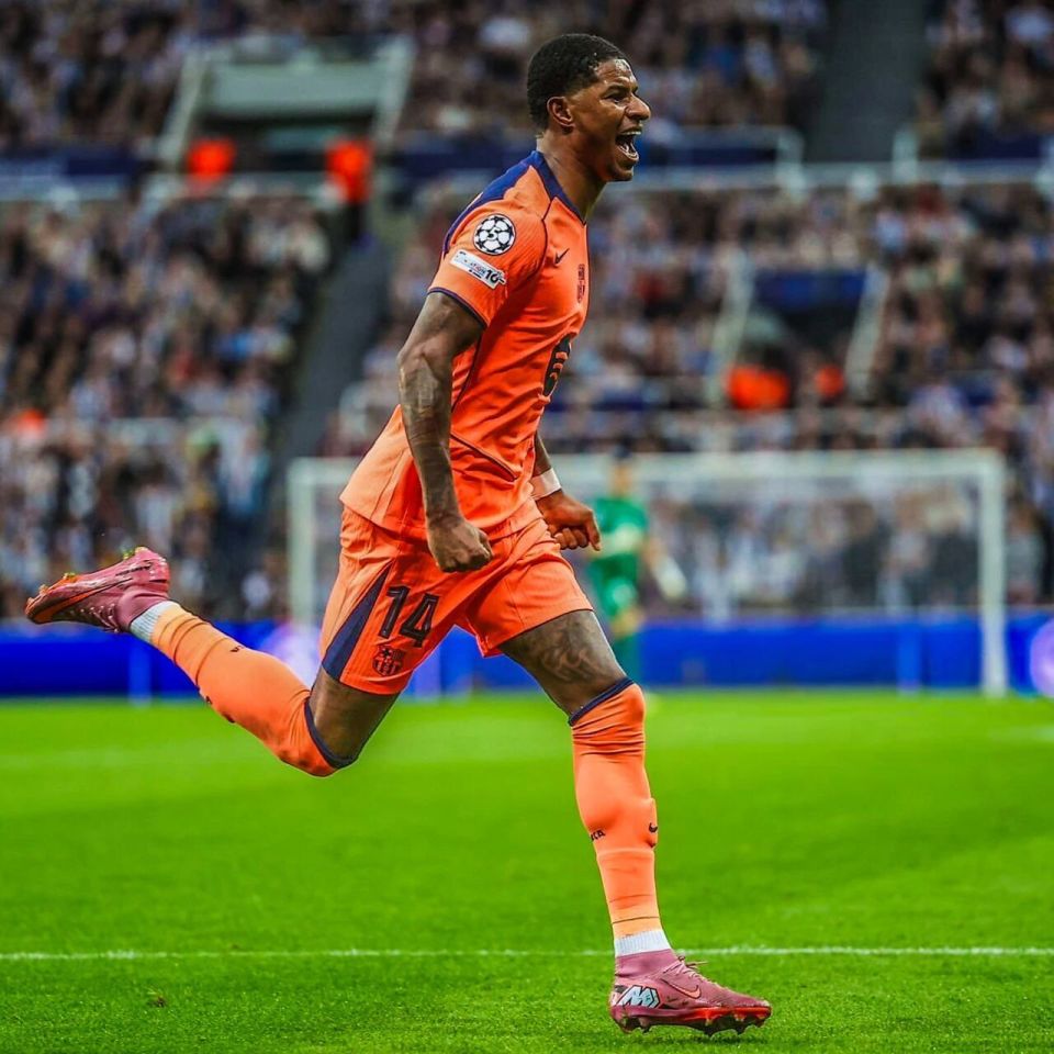 在经历了过, 卡的计划之