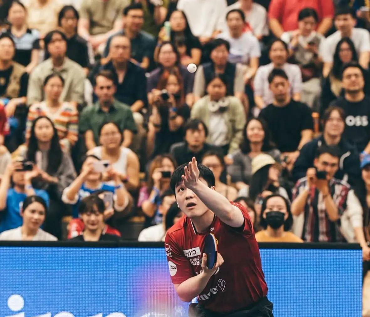 报刊整版, 手东哥笑纳, msn