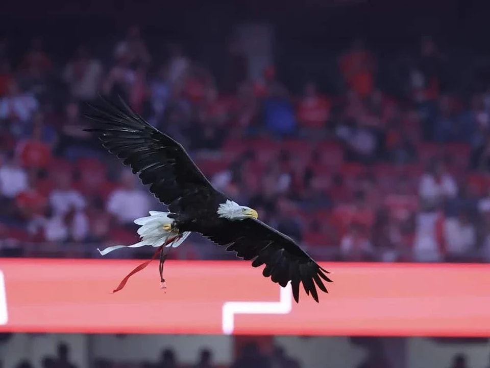 场欧冠比赛, img, 始版本